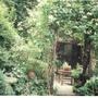 My Secret Cottage Garden