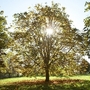 Bromley_hall_oct_07-005_1_