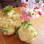 Pict0333
