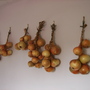 Onions on the wall in the kitchen