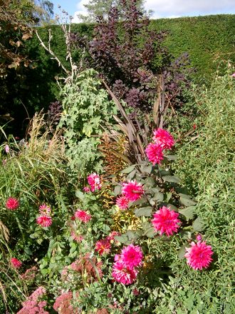 October flowers