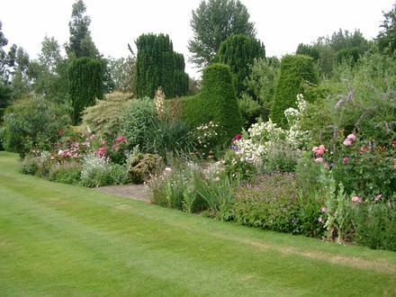 mixed border in June