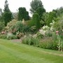 mixed border in June