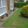 Front_lawn_2