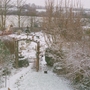 My Garden from the bedroom window