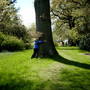 Great place for tree huggers and gardeners alike.