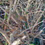 DSC00063_edited.jpg