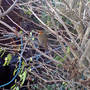 Dsc00064_edited