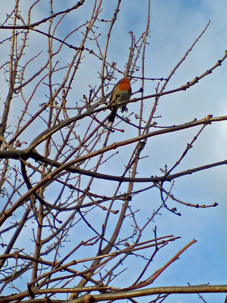 DSC00066_edited.jpg