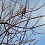 DSC00066_edited.jpg