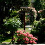 Pict0094