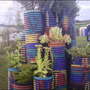 plant pipes