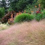 August 2008 Bonython Gardens