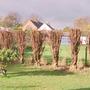Just after the Leylandi were "pruned"