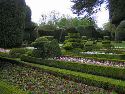 levens1.jpg