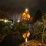 Peace on Earth and in my garden