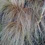 Dsc00062_edited