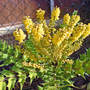Dsc00064_edited