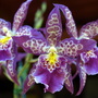 P9050602