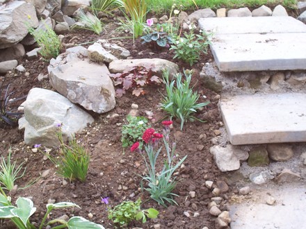 new rockery