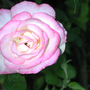 Desktop_22