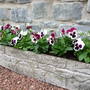New_trough_sept_07