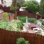 My Front Yard