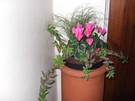 Chimney_upper.jpg