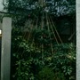 Picture_019