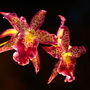 P9070750