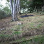 Autumn_06_012