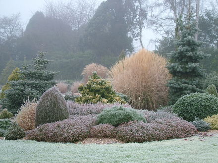 Foxhollow in Winter
