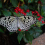 DSC_2623small.jpg