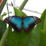 DSC_2638small.jpg