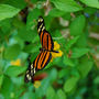 DSC_2640small.jpg