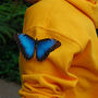 DSC_2644small.jpg