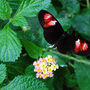 DSC_2647small.jpg