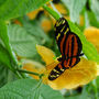 Dsc_2648small
