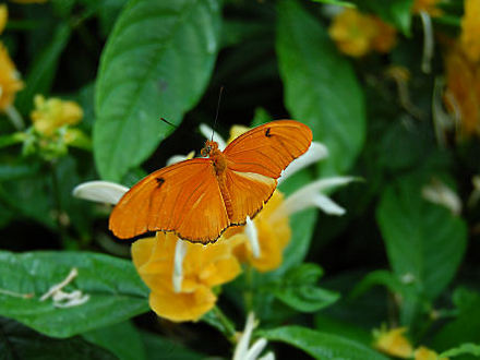 DSC_2649small.jpg