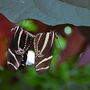 Dsc_2661small