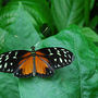 DSC_2665small.jpg