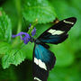 DSC_2674small.jpg