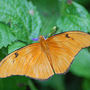 DSC_2701small.jpg