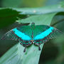 DSC_2711small.jpg