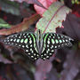 DSC_2725small.jpg