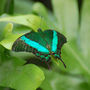 DSC_2727small.jpg