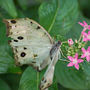 DSC_2731small.jpg