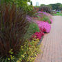DSC_2755small.jpg