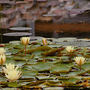 DSC_2844small.jpg