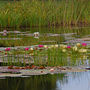 DSC_2874small.jpg
